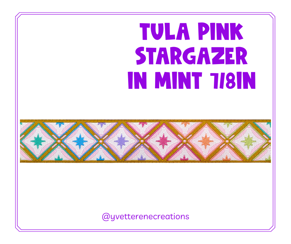 Tula Pink Ribbon  |  Stargazer in Mint 7/8