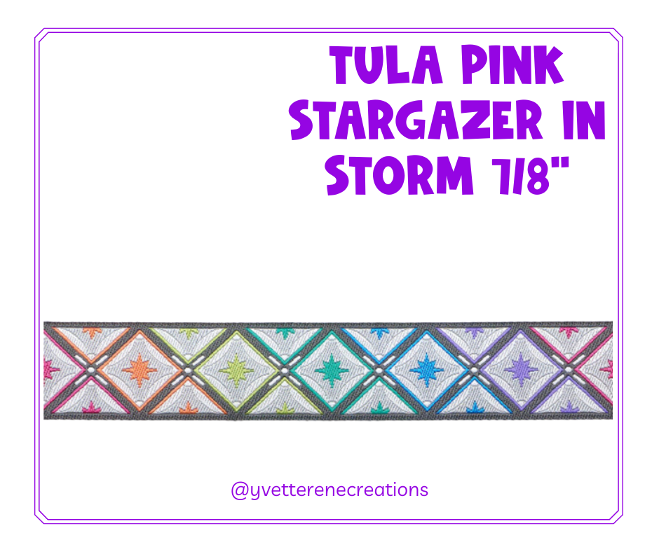 Tula Pink Ribbon  |  Stargazer in Storm 7/8