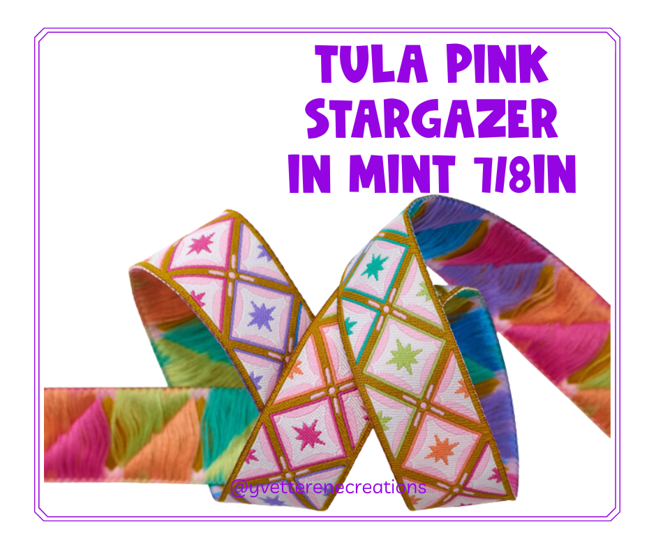 Tula Pink Ribbon  |  Stargazer in Mint 7/8